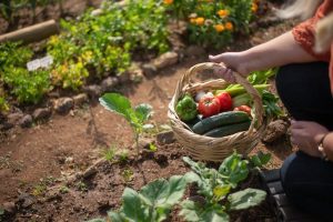 10 utili consigli per il giardinaggio: come prenderti cura del tuo giardino